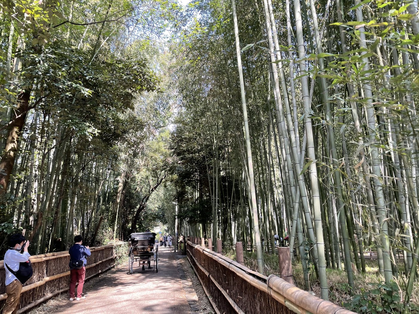Qué hacer en Kioto: templos, jardines y mucho más (2026) The bamboo grove path in Arashiyama, Kyoto, with a rickshaw