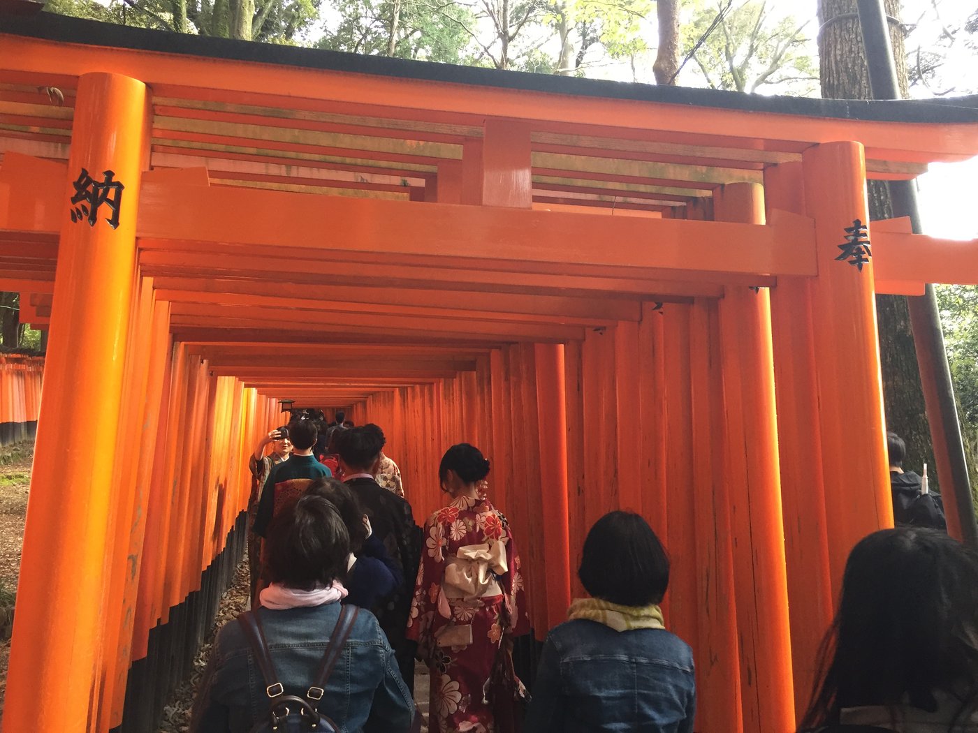 妖怪:日本的精靈、幽靈與怪物世界 The vermilion torii tunnel (Senbon Torii) at Fushimi Inari Shrine in Kyoto