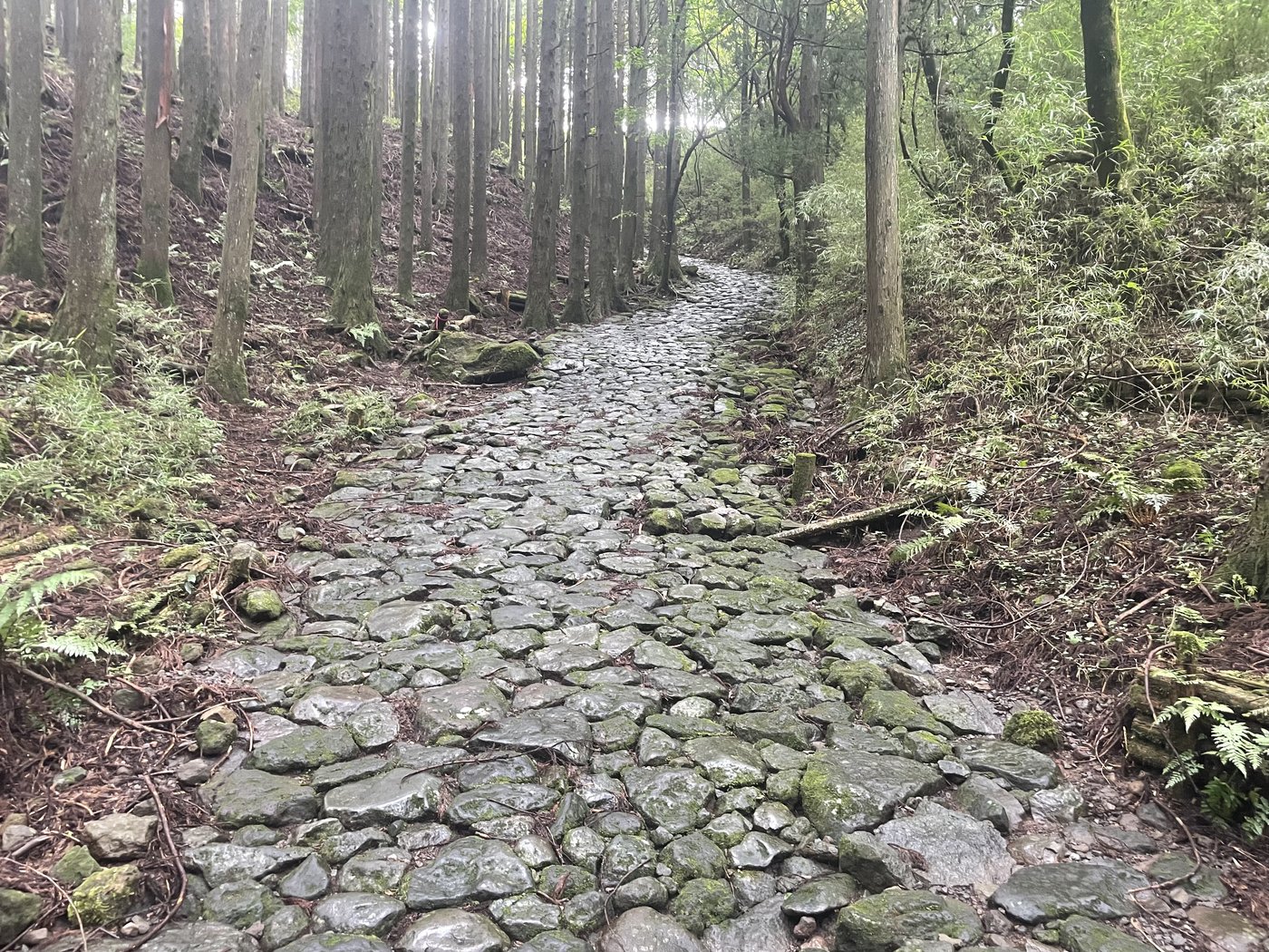 The old stone-paved Tokaido road in Hakone