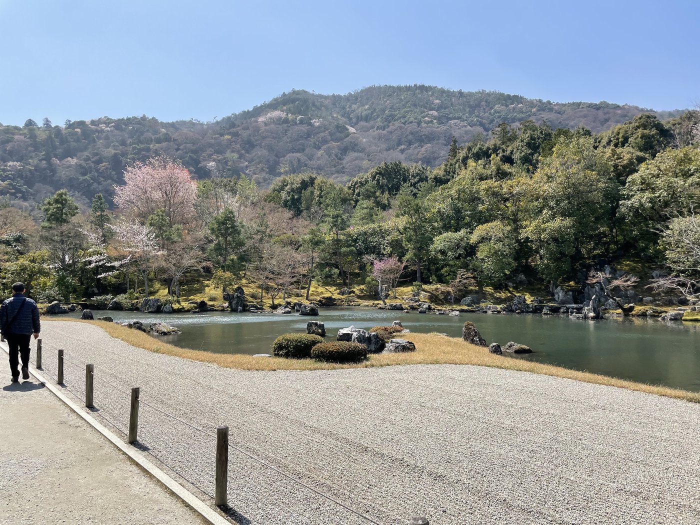 วะบิ-ซะบิ: ศิลปะแห่งความงามในความไม่สมบูรณ์แบบของญี่ปุ่น The pond garden of Tenryu-ji with Arashiyama mountains and cherry blossoms