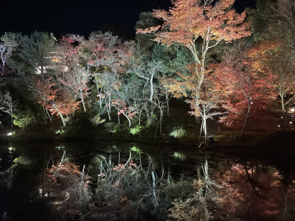 Autumn maple leaves illuminated at night, reflected in a pond in Kyoto
